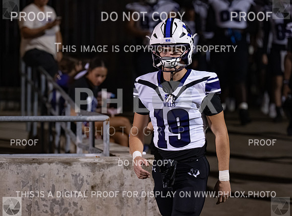 DLS_9432
