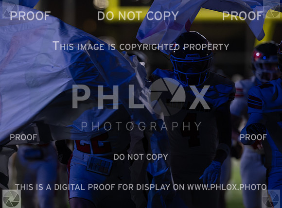 DLS_0392