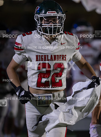 DLS_0395