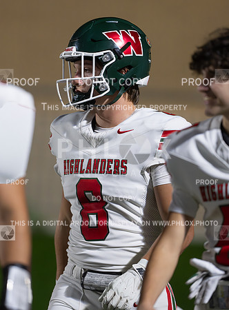 DLS_0407