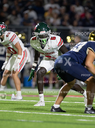 DLS_0609