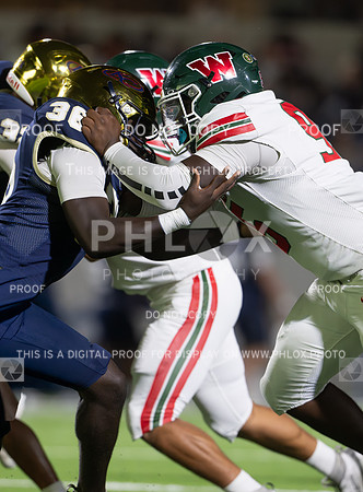 DLS_0611