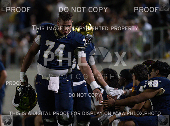 DLS_1621