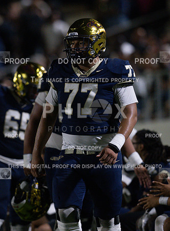 DLS_1619