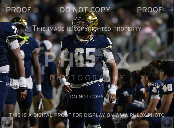 DLS_1627