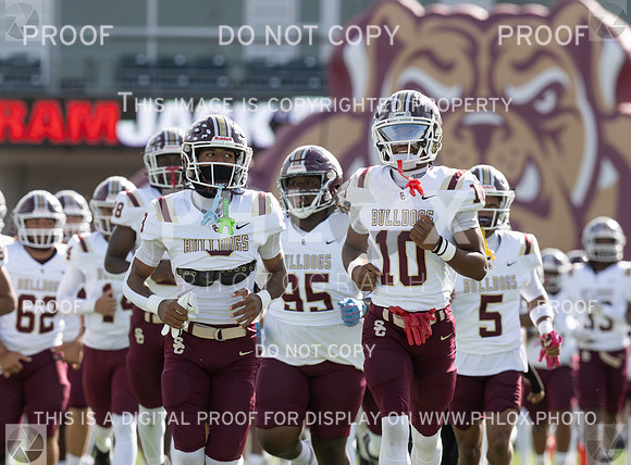 DLS_8019