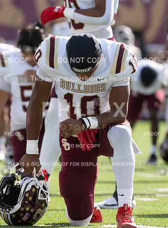 DLS_8032