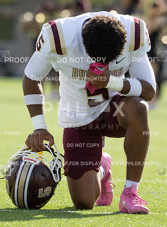 DLS_8034