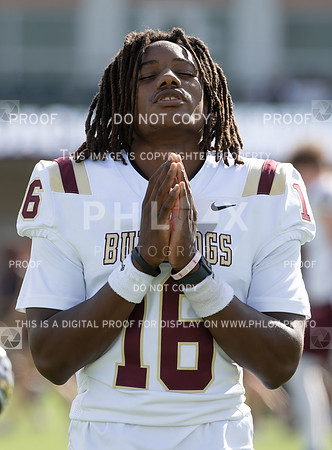 DLS_8046
