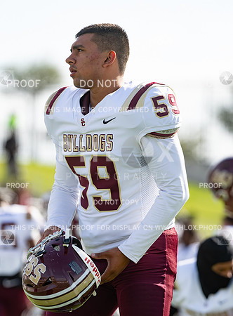DLS_8042