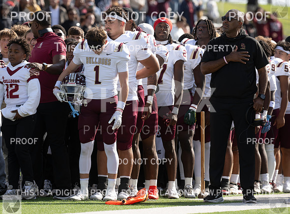 DLS_8052
