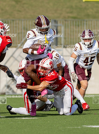 DLS_8133