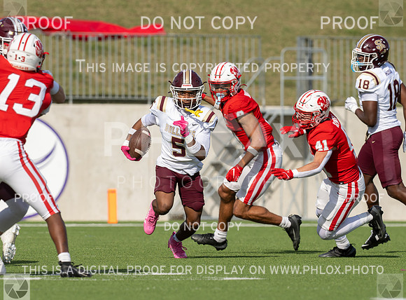 DLS_8131