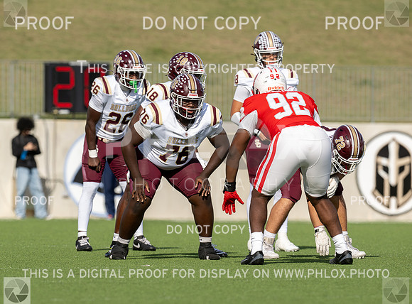 DLS_8140