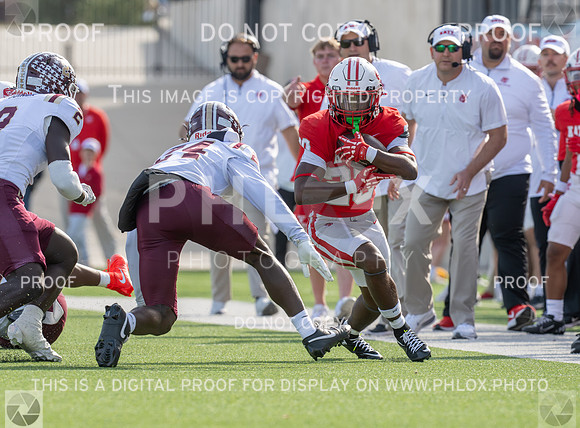 DLS_8207