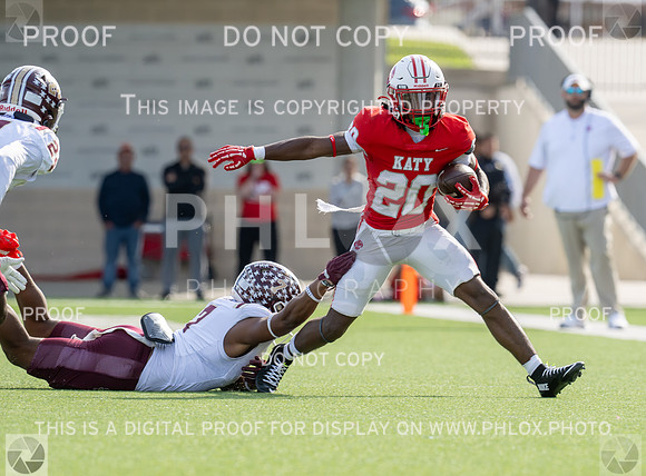DLS_8204