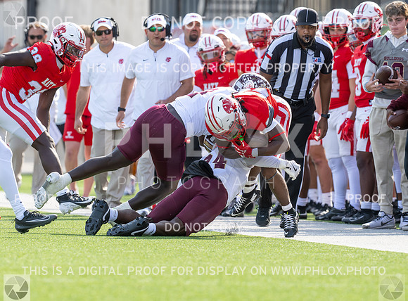 DLS_8208