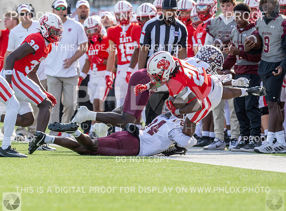 DLS_8209