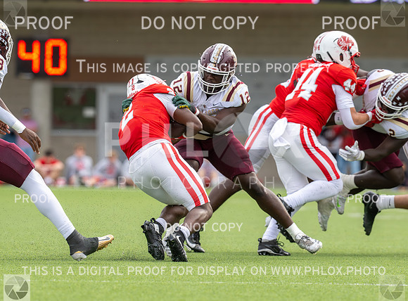 DLS_8988