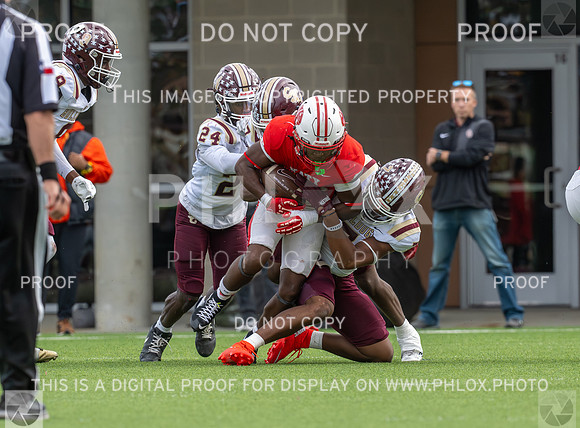 DLS_9184