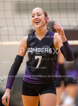 DLS_0036