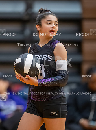 DLS_0073