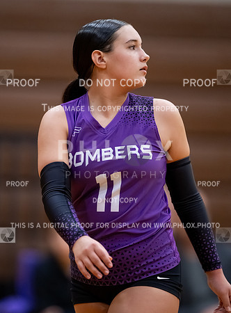 DLS_0080