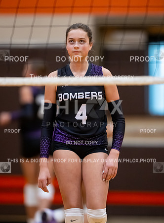 DLS_0092