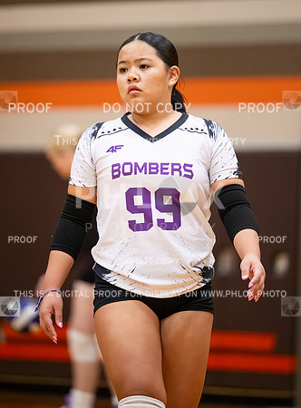 DLS_0109