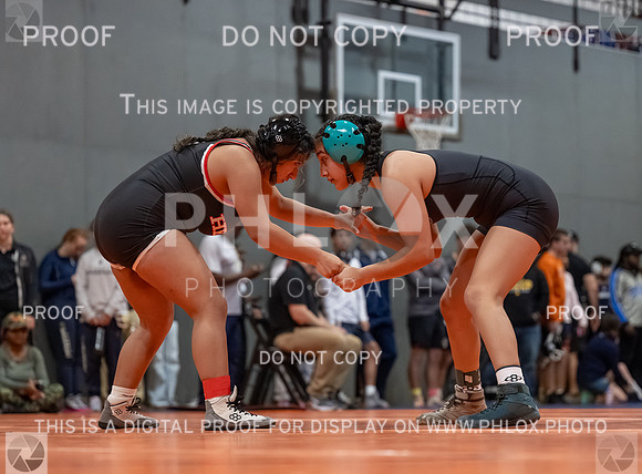 DLS_2789