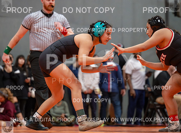 DLS_2787