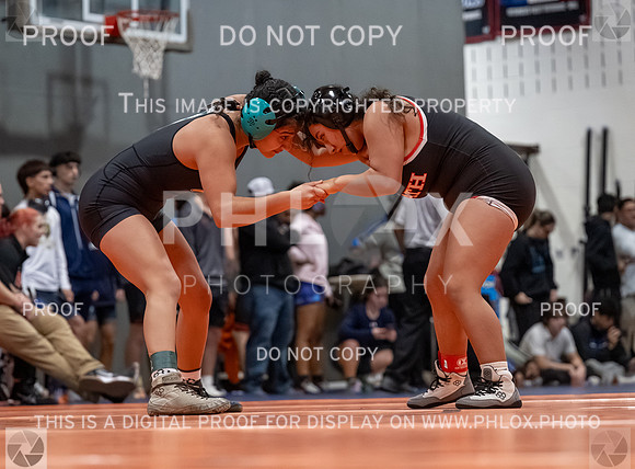 DLS_2792