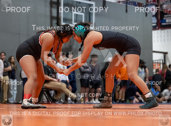 DLS_2790