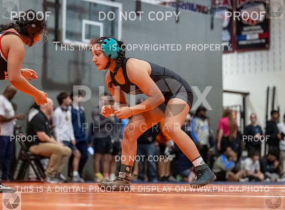 DLS_2788