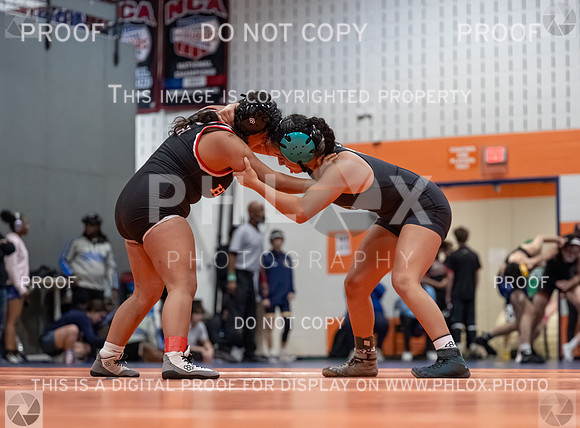 DLS_2793