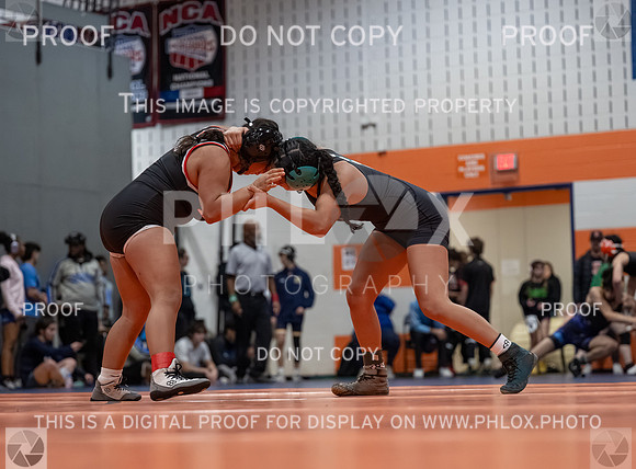DLS_2794