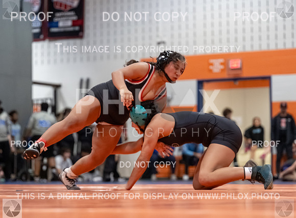 DLS_2795