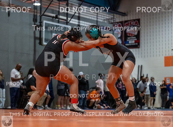 DLS_2802