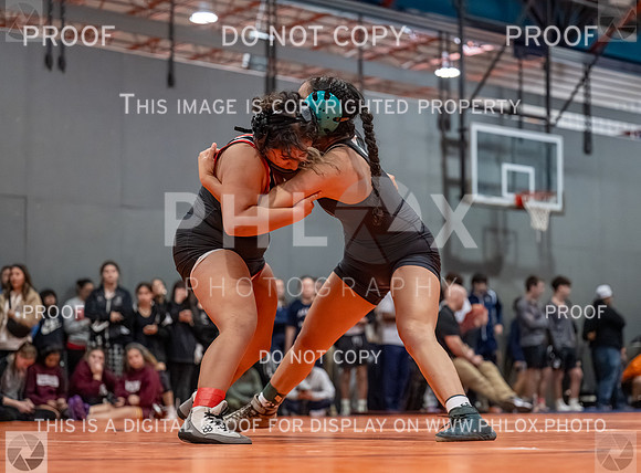 DLS_2807