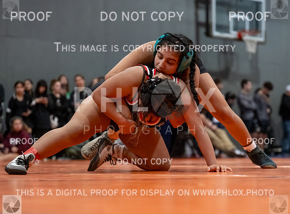 DLS_2810