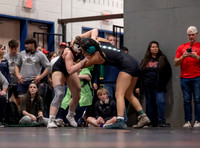 DLS_2966