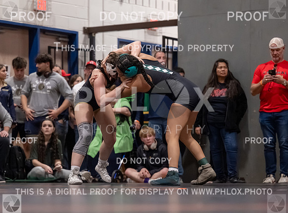 DLS_2966
