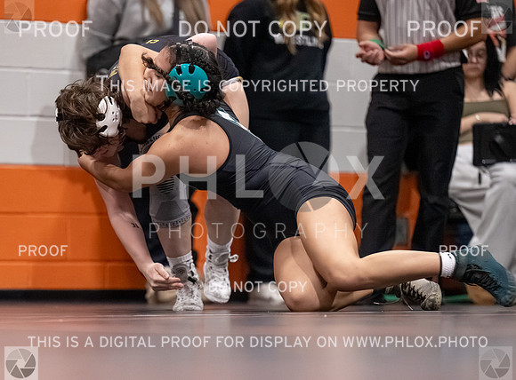 DLS_2967