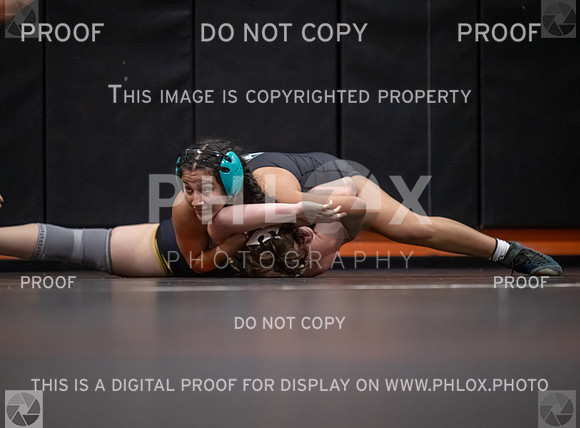 DLS_2970