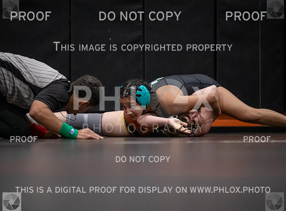 DLS_2971
