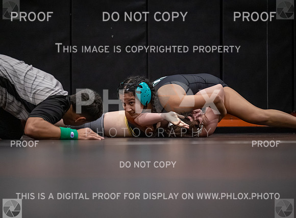 DLS_2972