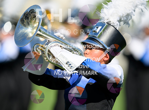 PSZ_144539