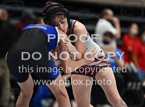 DLS_2690