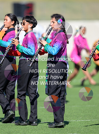 PSZ_143035