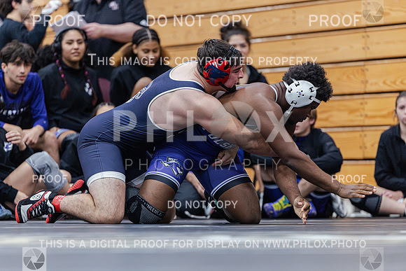 ADAM7446